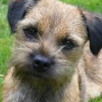 nes (@neswaeling) 's Twitter Profile Photo nes (@neswaeling) 's Twitter Profile Photo