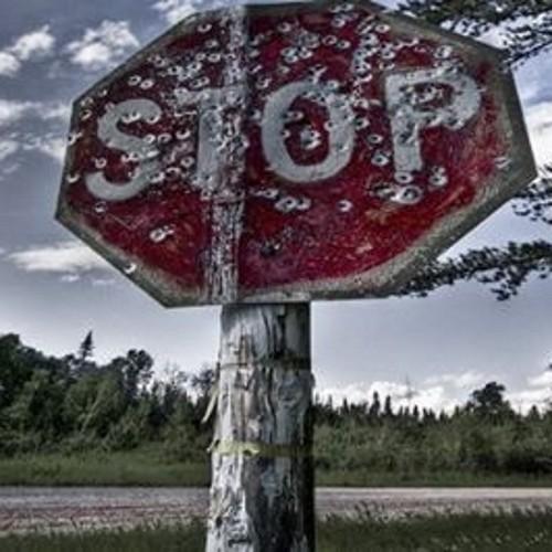 ZiedHarbaoui456's profile picture. 