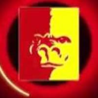 Gorilla Volleyball (@pittstatevb) 's Twitter Profile
