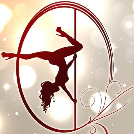 Aerialist Boutique is dedicated to bringing you fun and funky clothing that is ideal for your aerial workouts, as well as showing off your aerial pride!