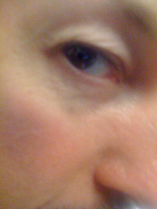 PolitEcht's profile picture. 