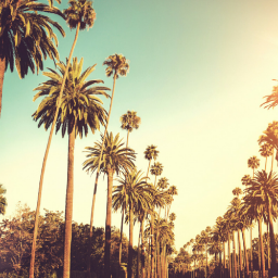 klproductions90's profile picture. Loves Film, Music & Photography. Passionate about capturing light.