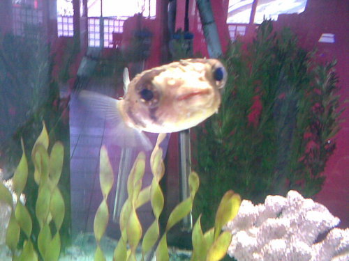 StrathHaven's profile picture. 