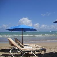 Sharon Barnes (@barness227) 's Twitter Profile Photo