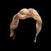 Noel Edmonds Hair (@edmondshair) Twitter profile photo Noel Edmonds Hair (@edmondshair) Twitter profile photo