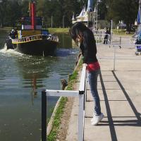 flor (@flor_tity) 's Twitter Profile