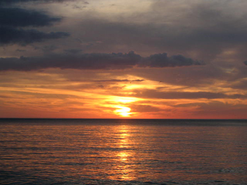 Marco_Island's profile picture. Casual, relaxed and laid back! These three words best describe the lifestyle in a Marco Island rental.