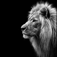 . (@abdulelah__11) Twitter profile photo