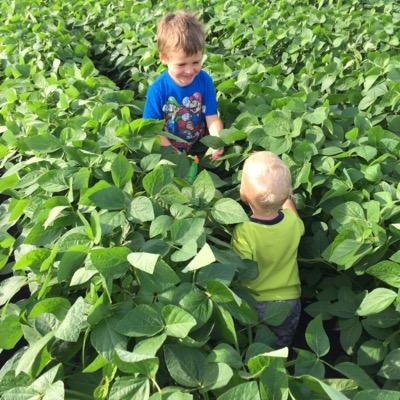 msnich10's profile picture. Mom. Middle School Teacher. Tech Lover. Math Geek.