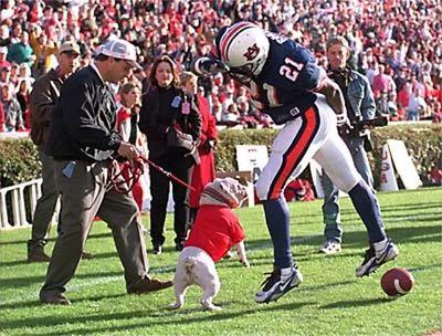 Georgia Bulldog, New Orleans Saint, and Emergency Medicine Physician