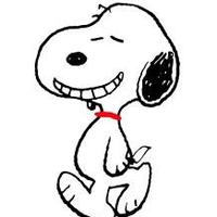 ha1wmi (@ha1wmi) 's Twitter Profile Photo