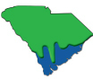Let's Elect a Green Government  in South Carolina!