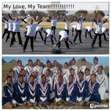 We are majorettes and we love the sport. One Unit. One Family. One Goal. My Team.