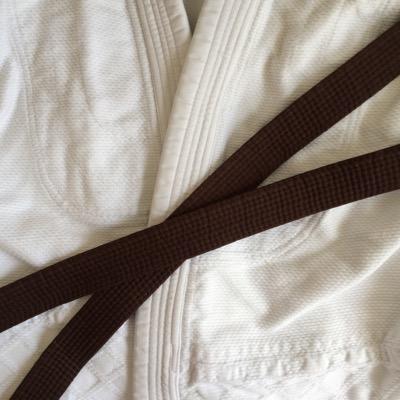 Aikilass's profile picture. I started blogging about being a beginner in Aikido in 2007. In 2017 I'm still on the mat despite being having Endometriosis and four surgeries so far.