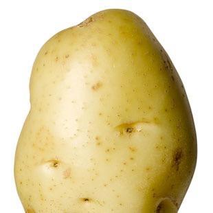 When a text, tweet, or snap is just not enough, send it on a potato. The Kiwi Potato Messenger sends your message on a potato anywhere in NZ with free postage.