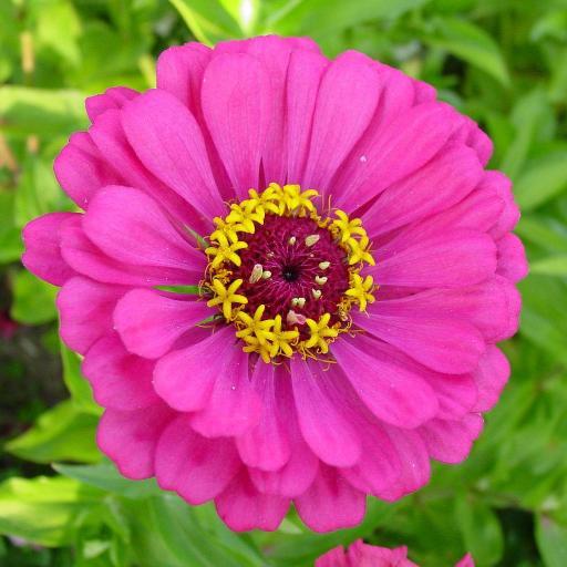 2014_tag's profile picture. معاون طبي