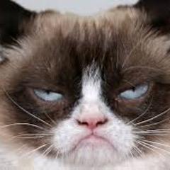 sandropimenta's profile picture. Fã de #F1 e NFL, interessado em tecnologia e alguns outros assuntos, não necessariamente nesta ordem