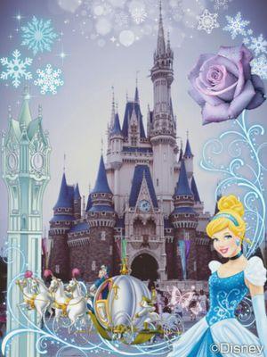 kaena_k's profile picture. 猫🐱・Disney🏰🌋・美味しいごはん🍴(*´U`*) 雑多ごちゃごちゃ…最近は美容とプロセカにハマってる