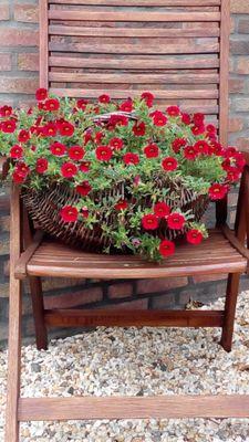 Sweet1dream1's profile picture. is het al bijna zomer