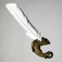 Emo de Medeiros (@emodemedeiros) 's Twitter Profile