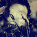 Ashley Covert - @ashhuskerboo - Twitter