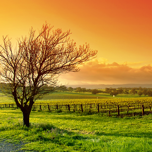 Live a more mindful life with breathtaking Nature Photography and Peaceful Scenes.
Inspiration for a Simpler Life.