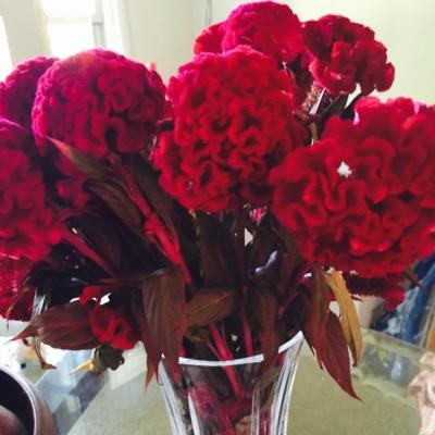 LNurse7's profile picture. 