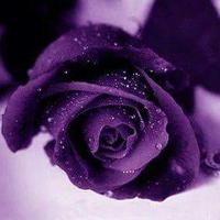 ايموووو (@eman009e) 's Twitter Profile