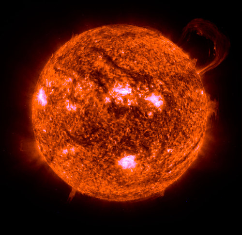 tvbone's profile picture. 