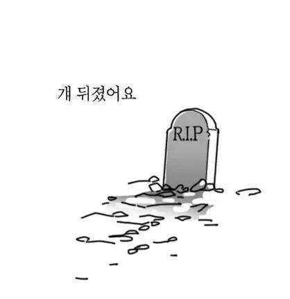 없어요 뒤졌어.