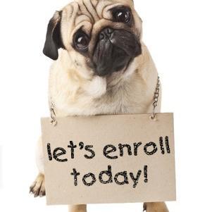 Dog articles and videos. Dog training information and resources.
Dog food, pet supplies, accessories and reviews.