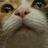 bootymarket's profile image