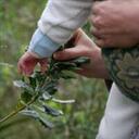 Erica Abbott - @arbitrarily_ - Twitter