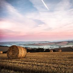 trying to capture the beautiful South Hams one click at a time...