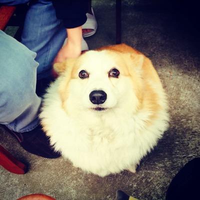 lewishowtime's profile picture. all tweet everything