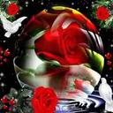 r 0556219458@gmai.co (@055621945bbg8) Twitter