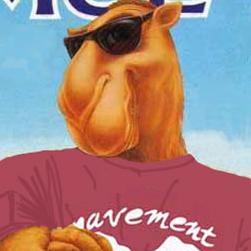 joelciopatricio's profile picture. 