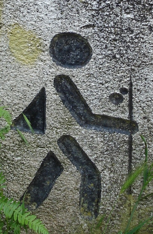 Tranquil1's profile picture. An intrepid traveller on a life-long pursuit of tranquility. Life is a rich journey that is to be filled with many adventures. Insatiably curious.