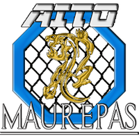 Aito Maurepas(@MaurepasAito) 's Twitter Profile Photo