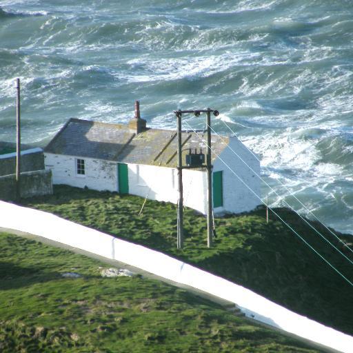 KewRhos100's profile picture. 