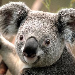 GAAssassin99GA's profile picture. 