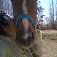 **Vick** (@vickytaluz) 's Twitter Profile Photo **Vick** (@vickytaluz) 's Twitter Profile Photo