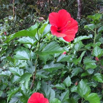 ssohb4's profile picture. 都内在住の大学2年生です！良かったらフォローお願いします