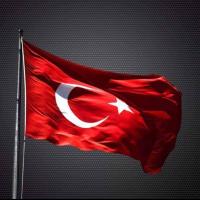 Cengaver68 ๐น๐ท GT (@calilok) 's Twitter Profile