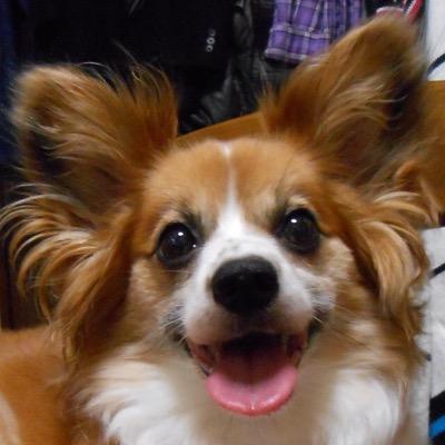 弦ものが好きなRF電気屋。たまにチャリ(ロード、トライアル)してるけど、テレワークで蓄積した脂は中々落とせません😢。