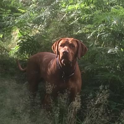 madvizslawoman's profile picture. Enjoying life with my hubby. All views are my own😀