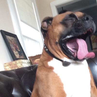 mobysllc's profile picture. 