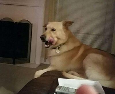 minishoes602's profile picture. 