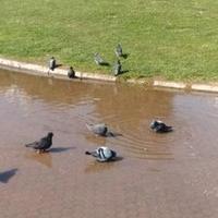 Kesk sor zer (@b7efba0dafda46b) Twitter profile photo