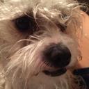 Amanda Mckenna - @Mckenna16Amanda - Twitter